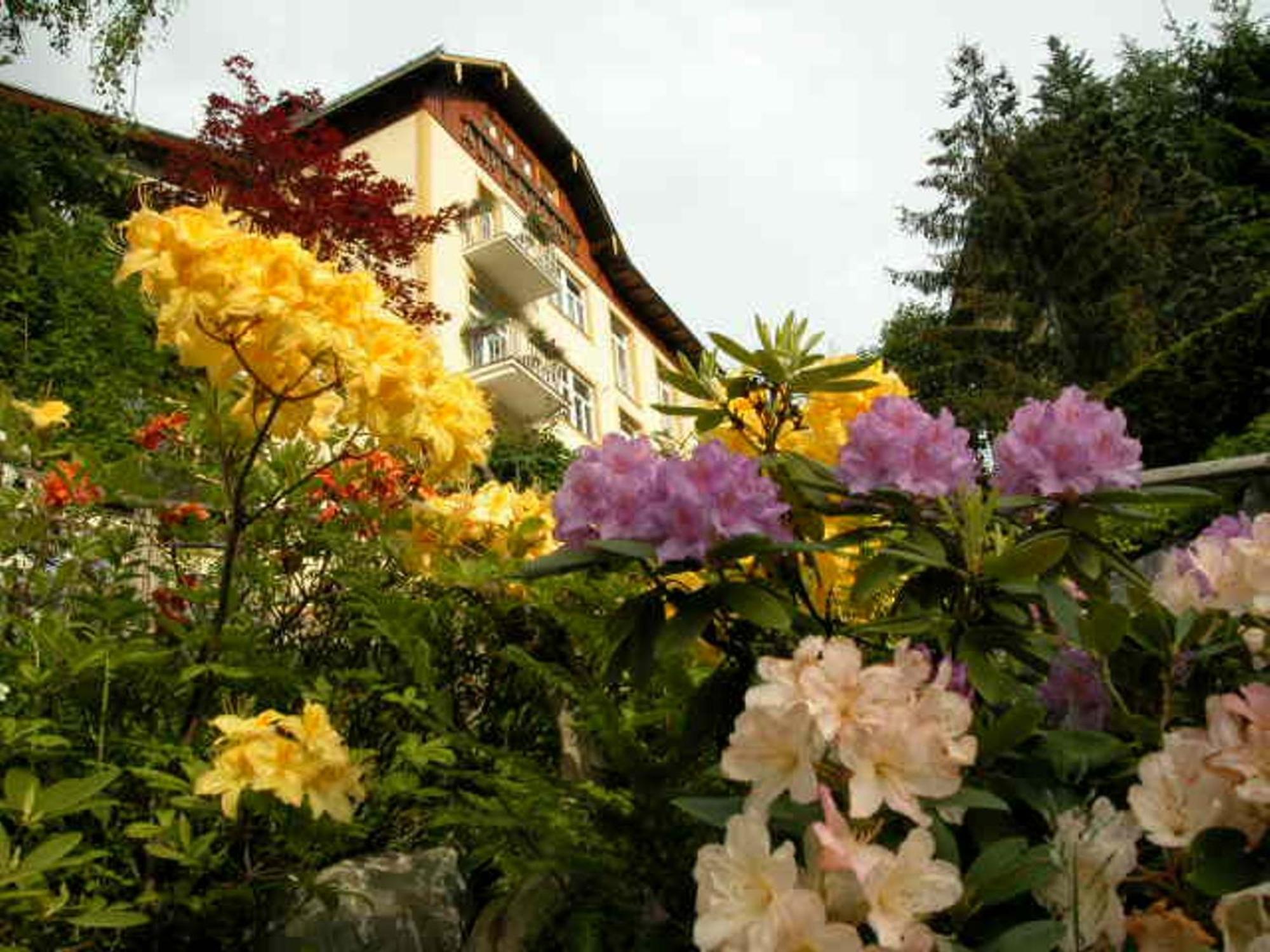 Hotel Alpenblick Bad Gastein Exterior photo